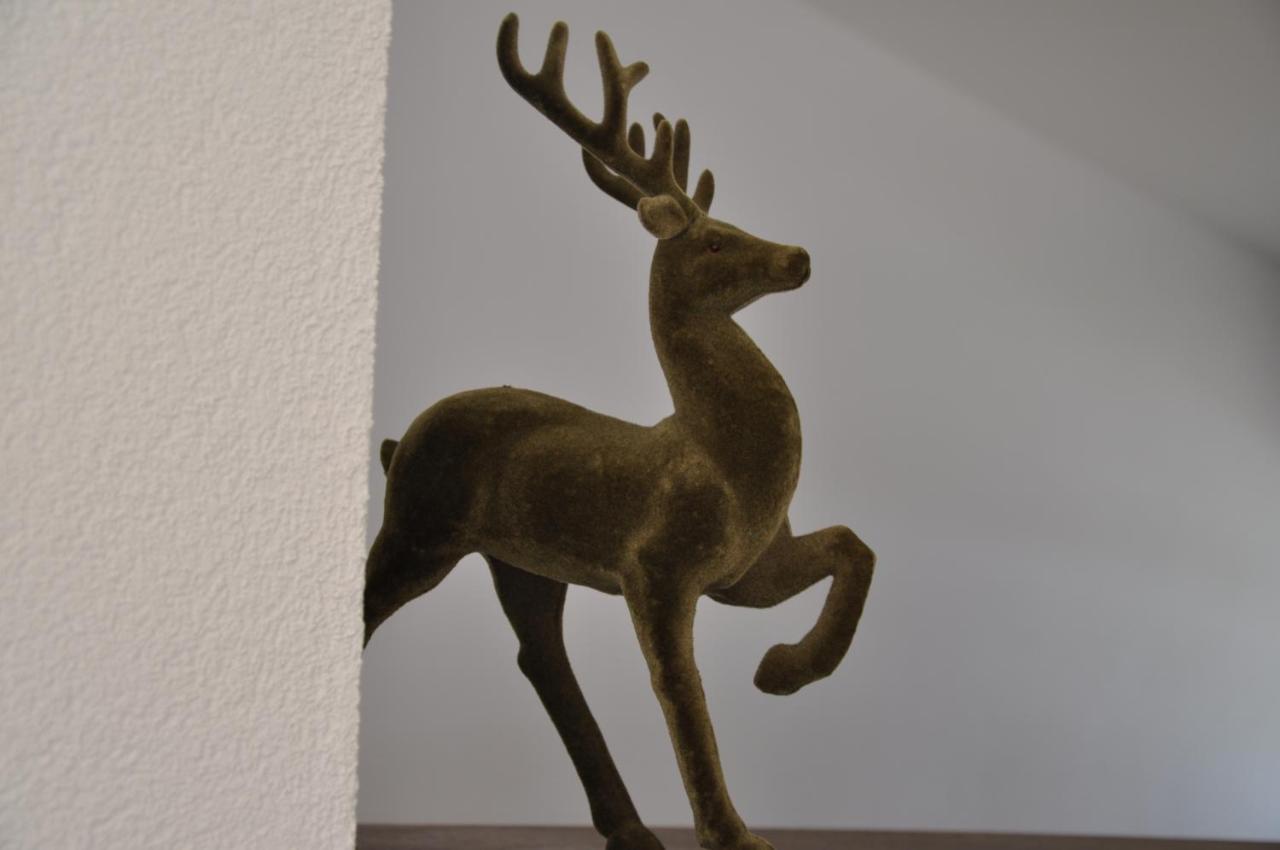 Ferienwohnung Staudach, Apartment Fuegenberg Extérieur photo